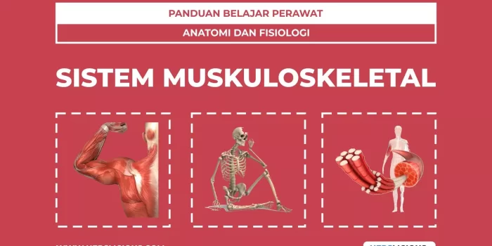 Anatomi dan Fisiologi Sistem Muskuloskeletal